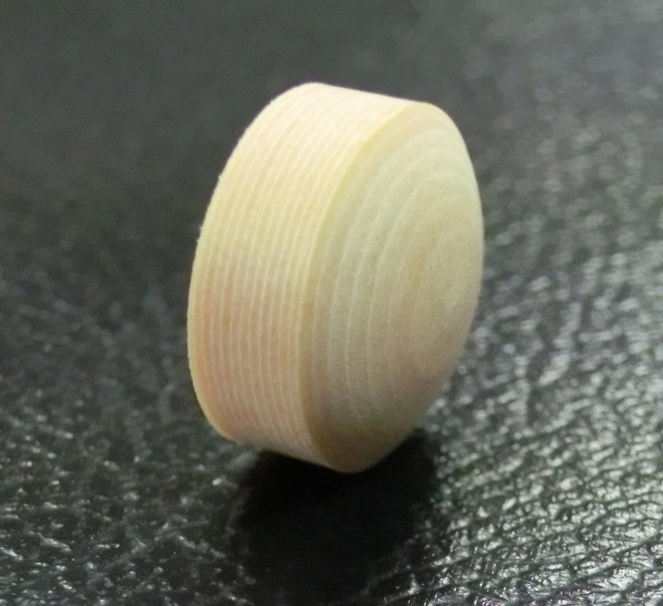 45668873