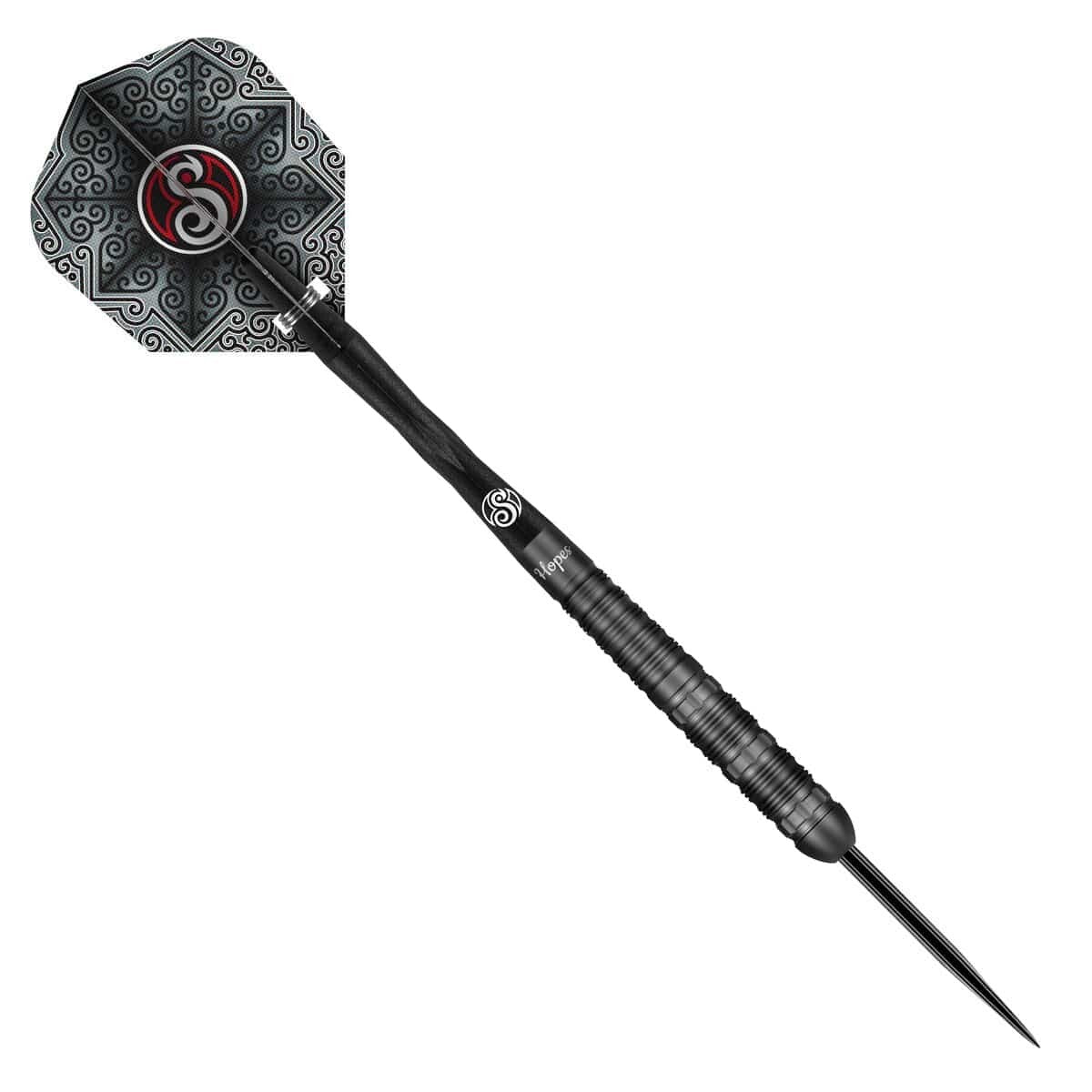 45668387