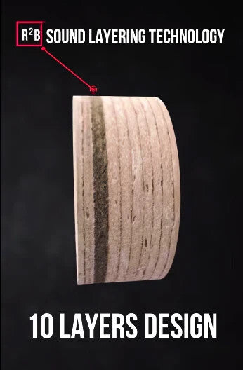 45668400