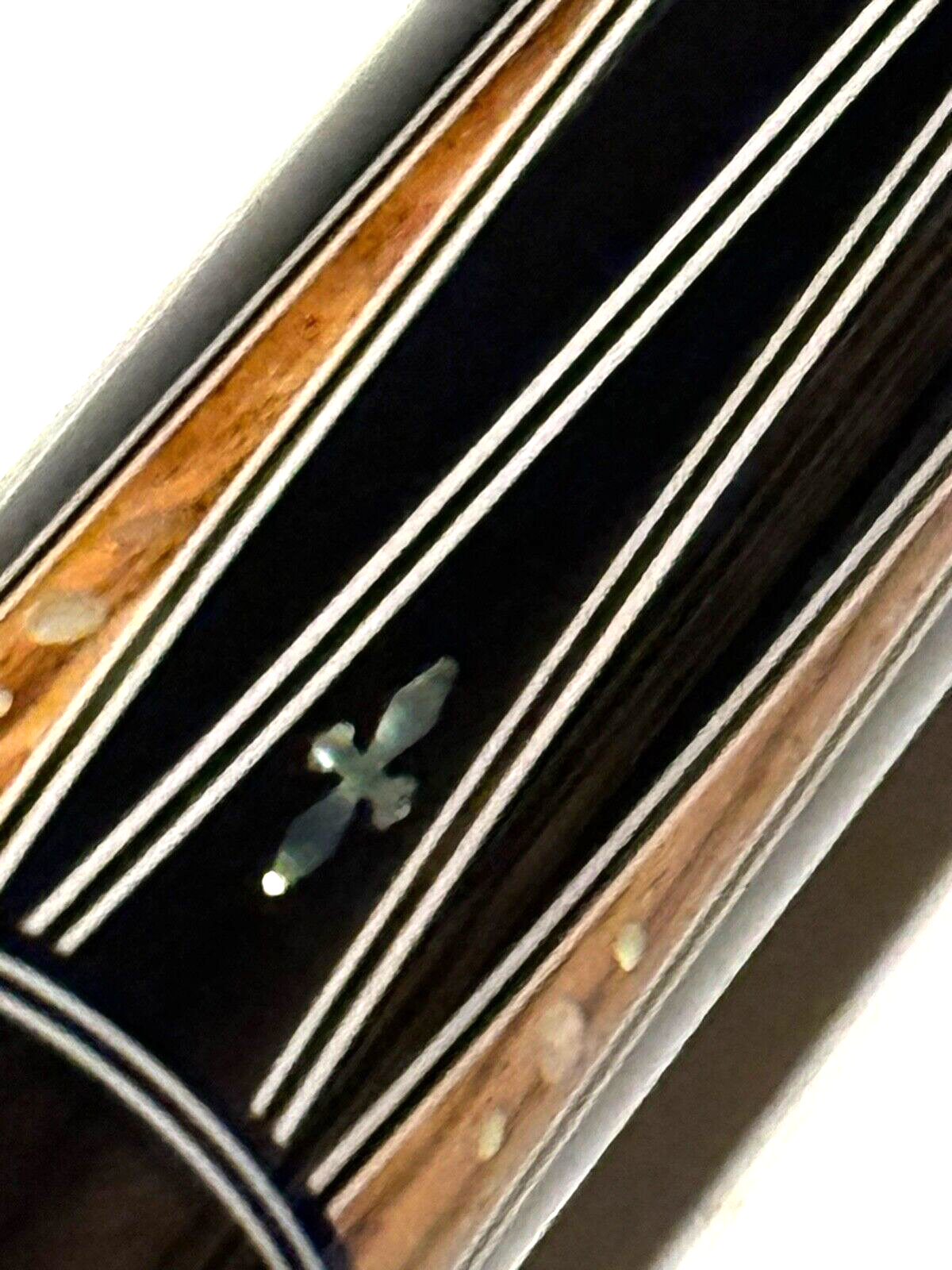45668273