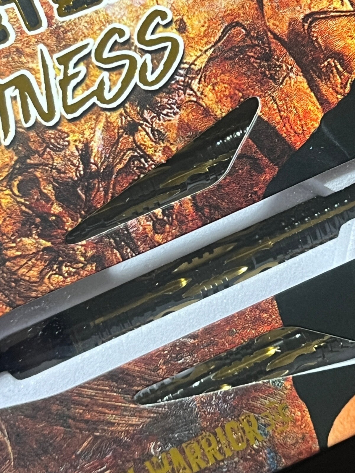 45667645